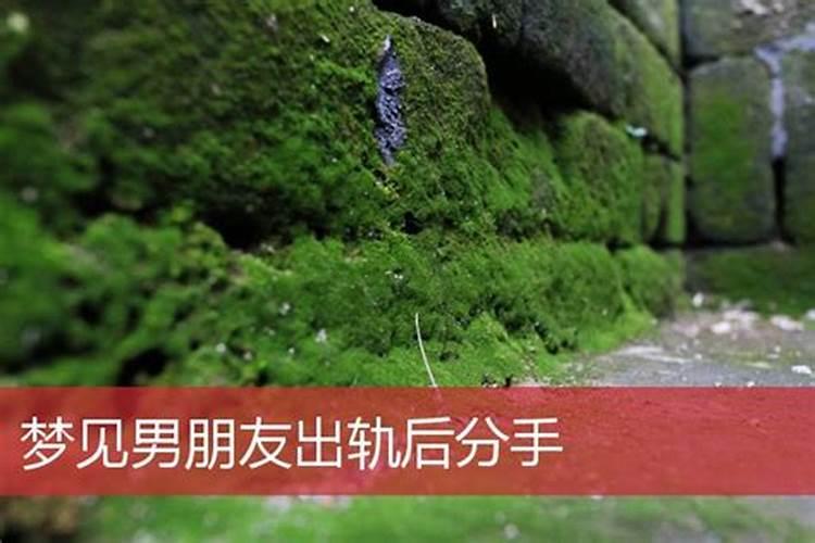 2025属牛犯太岁吗 2025属牛人全年运势