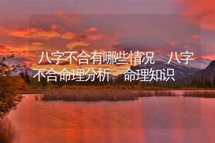 八字不合什么意思