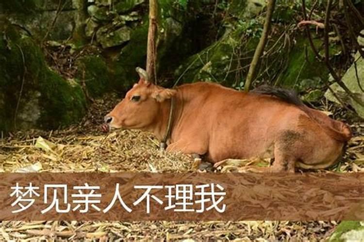 梦见父母双亡自己大哭