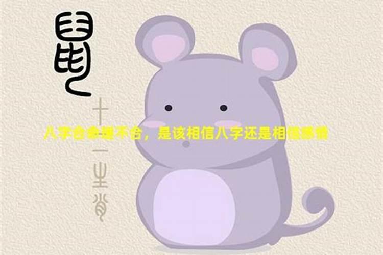 算八字合不合,可信不可信？
