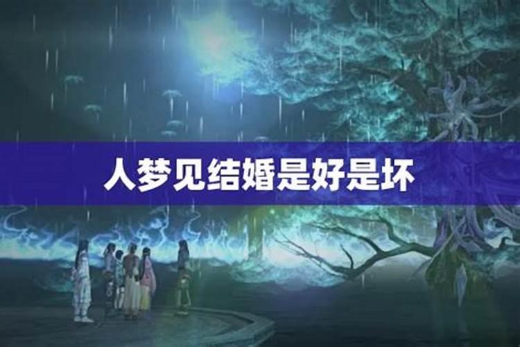 属牛和属羊相冲谁倒霉