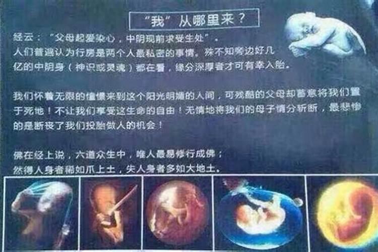 十二时辰对照表生辰八字命格,十二时辰与五行对照表
