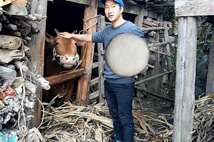 正月初五上香用什么食品？