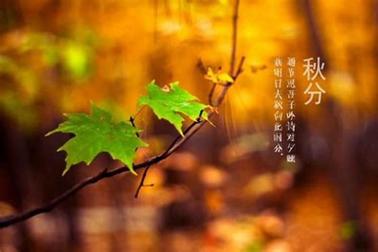 我是1971年龙历9月初七,我的运势怎样
