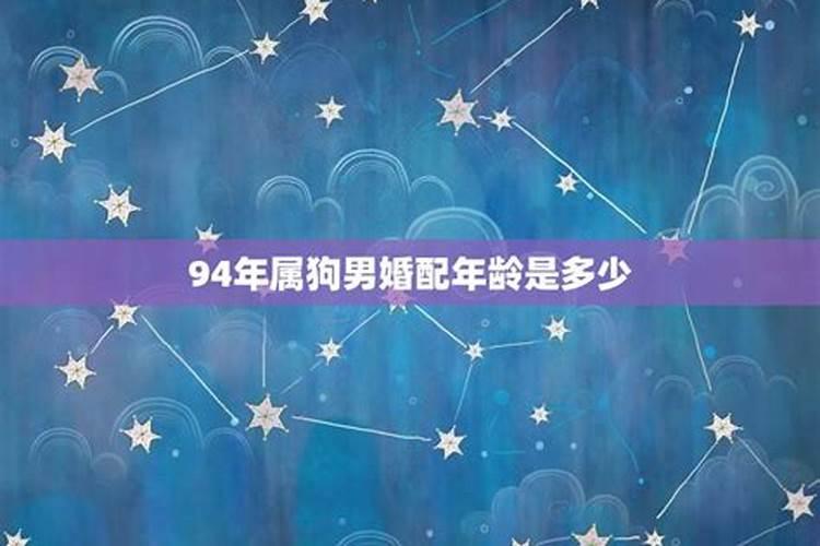 2025属鼠犯太岁吗 属鼠人2025年运势