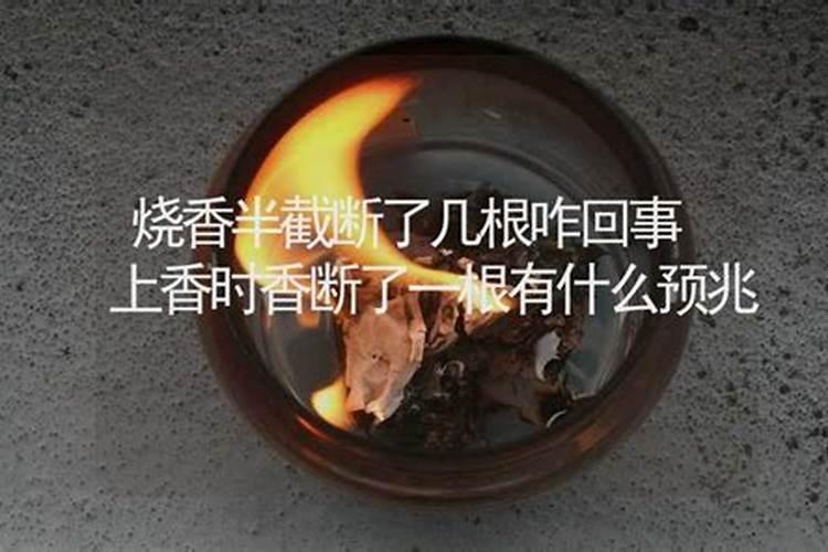 6月属鸡的命运怎么样