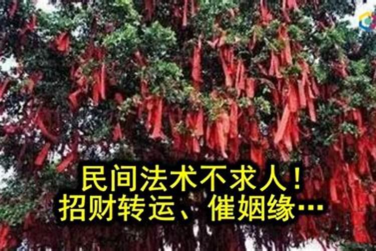 梦见婆婆来我家的预兆