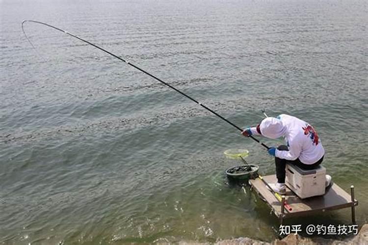梦到他人钓鱼钓到大鱼