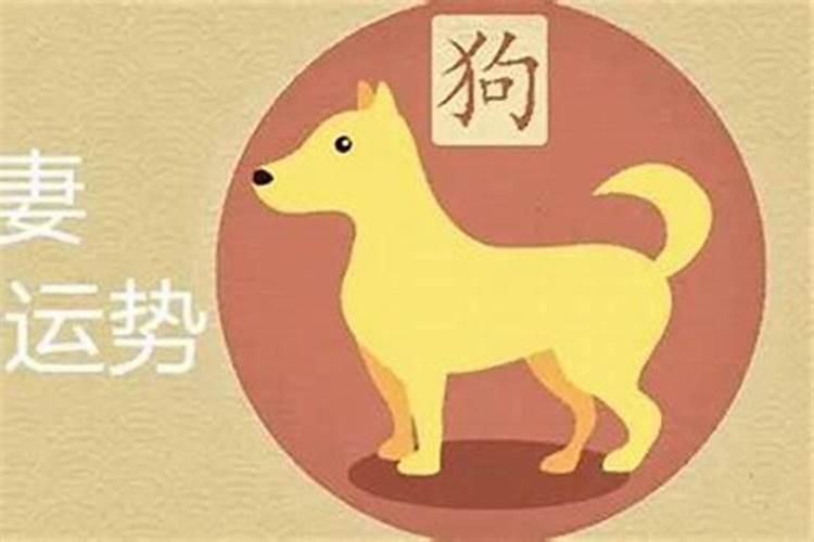 命带3个华盖的女人有婚姻吗