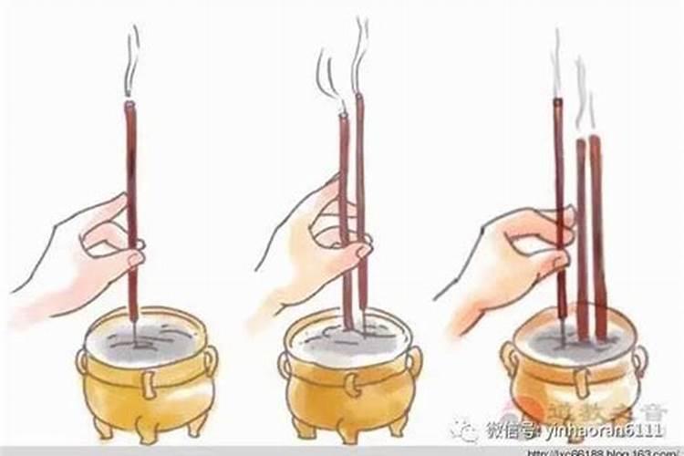 十二生肖和天干地支关系