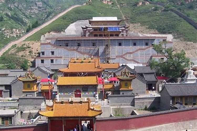 老鼠跟蛇合得来吗老鼠和蛇属相合不合