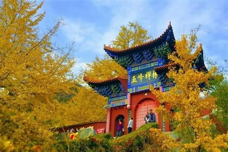 唐山市玉田县算命的有准的么？