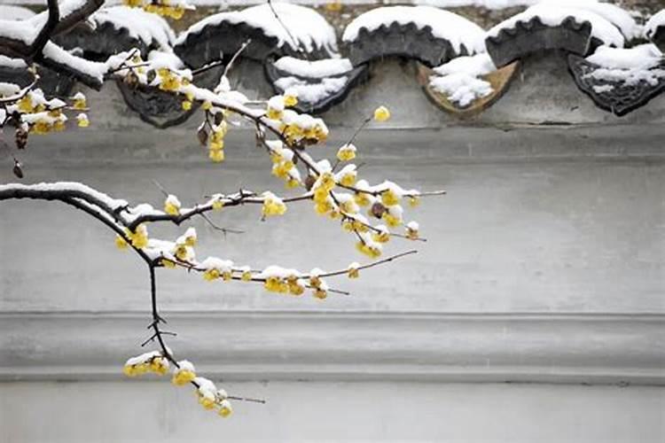 冬至是一个怎样的节日？