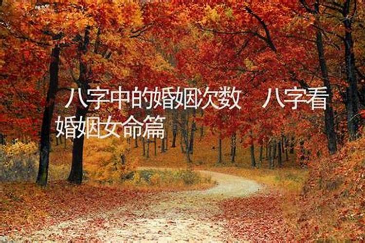 五行金多的女人命好吗