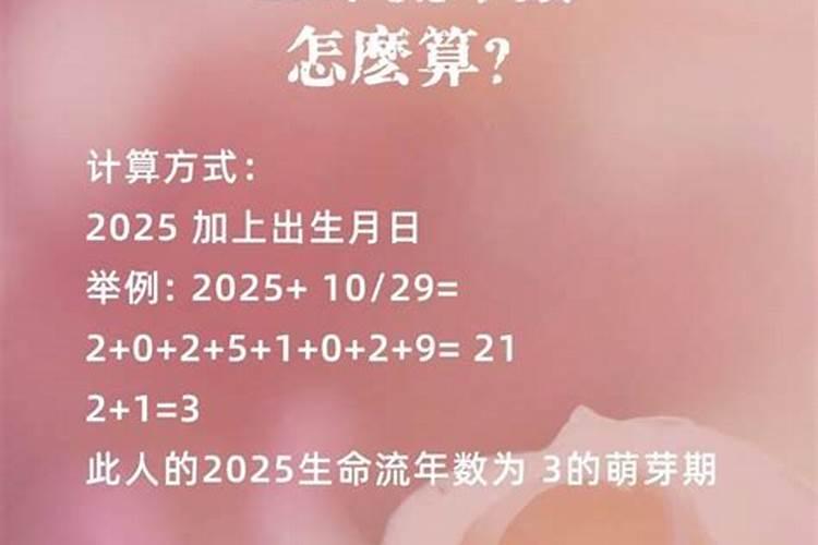 生命灵数测试生命数字密码查询