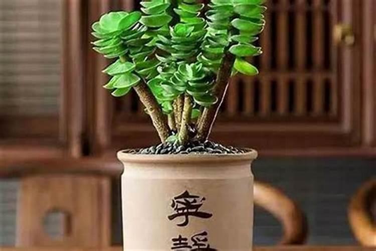 书房风水学:如何催旺文昌运？