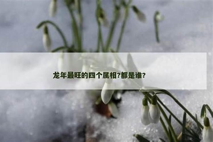 2025属龙人犯太岁吗