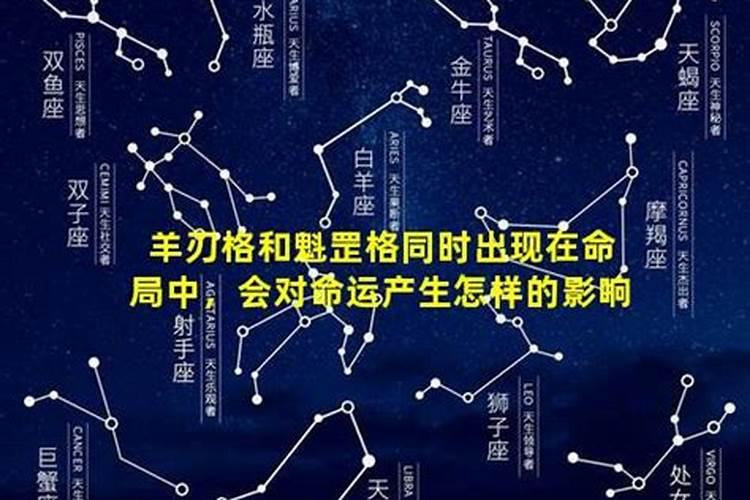 生肖虎2024年运势及运程详解 不同年份属虎人2024年运势