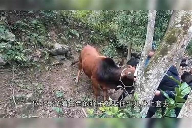 梦见和已故的邻居在一起的预兆