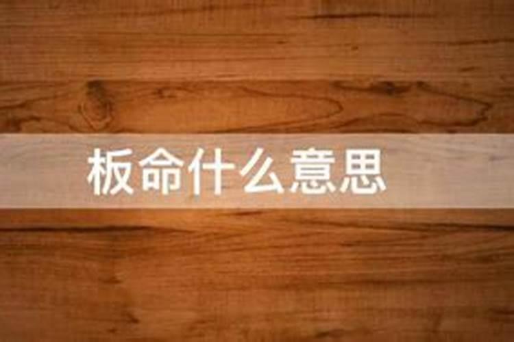 梦见狼跑过来,但没攻击到我