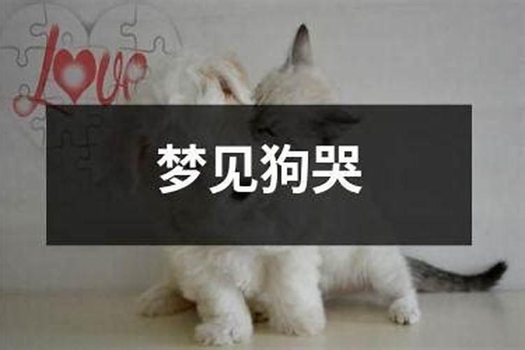 男属羊和什么属相相克