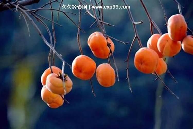 喜用神为木的人,适合做什么行业？