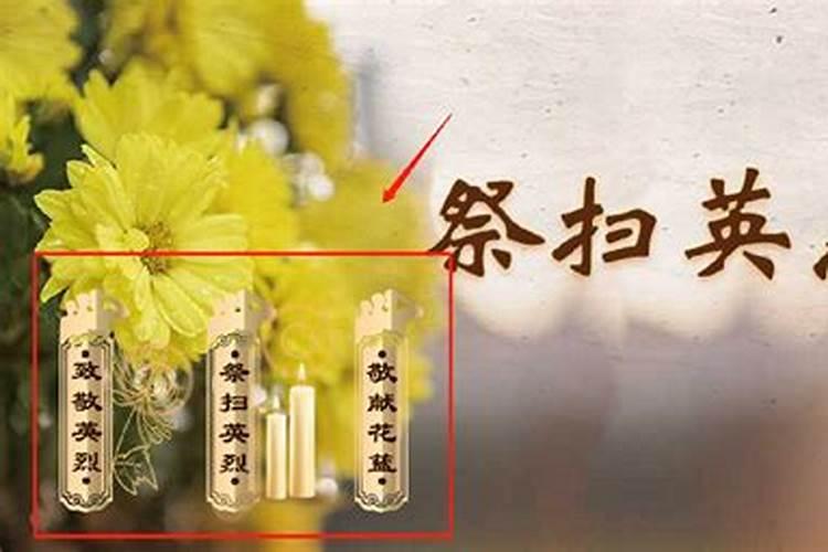清明节祭祀扫墓送什么花 4种花色供你选择
