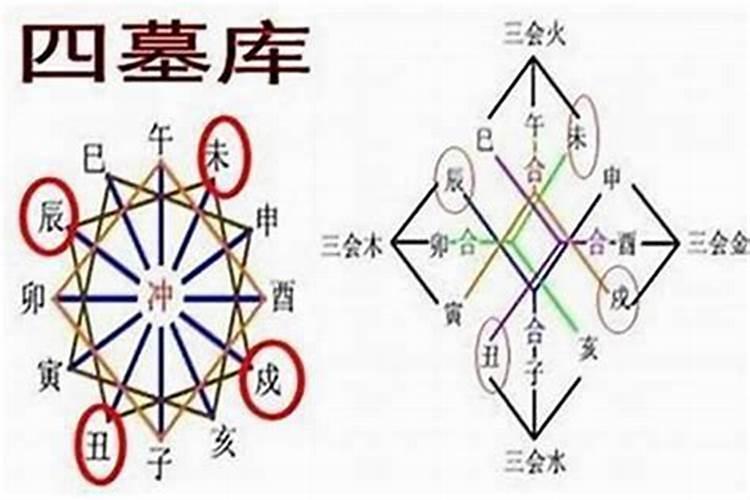 孕妇梦见鸟有什么寓意
