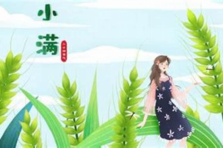 2025虎人运势运程