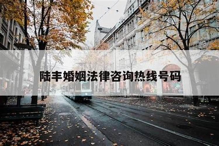 胶州婚介哪家好