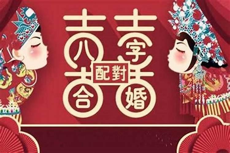 合婚看八字还是属相看八字