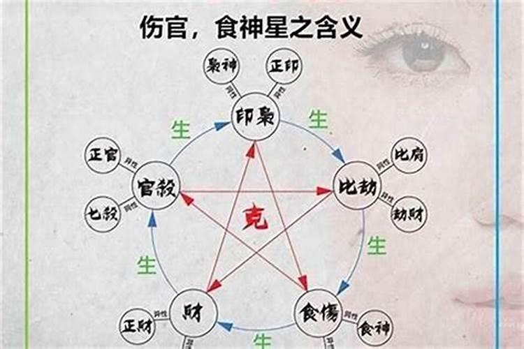 食神伤官代表什么意思食神伤官的意思是什么