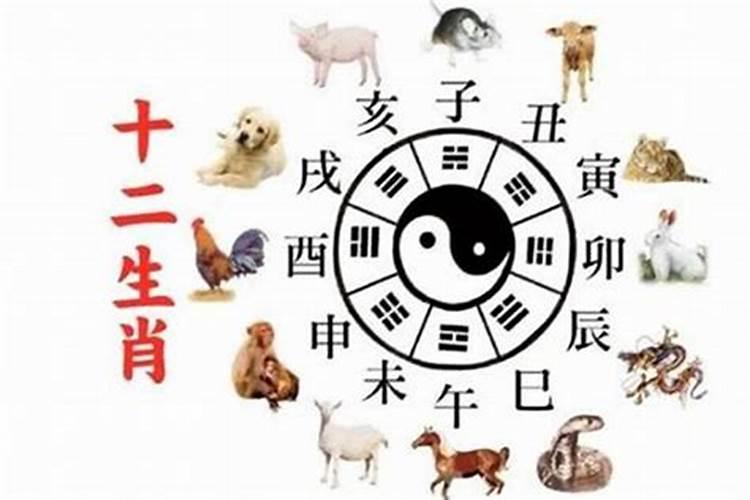 75年兔在2025年运气如何