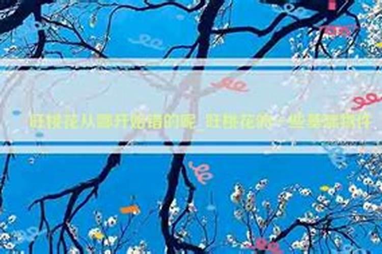 桃花旺是什么意思