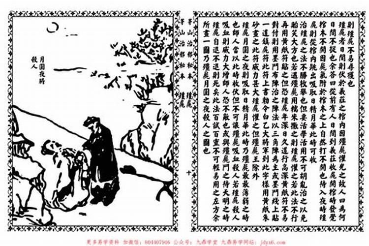 八字里面的行根,是什么意思？