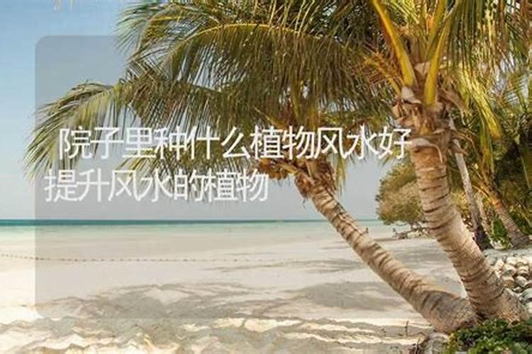 唯一管得住射手座的星座 能把射手座迷得死死的星座