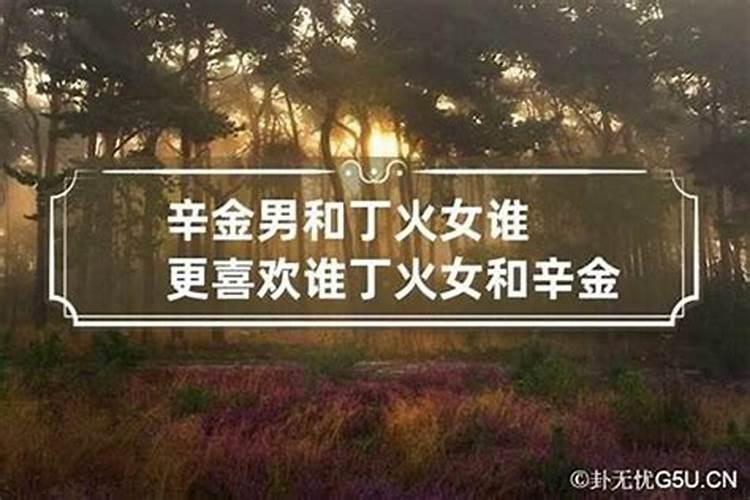 庚金女正缘必须是丁火吗