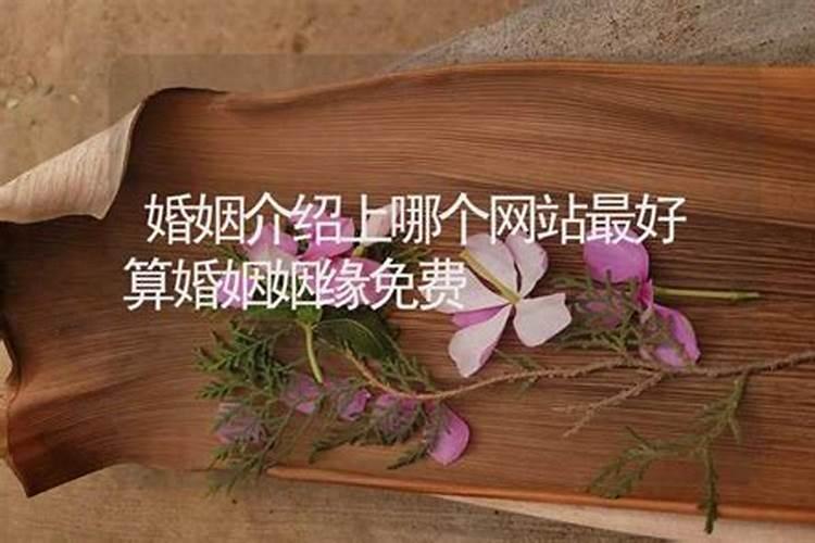 1995年属猪女2024年运势及每月运势