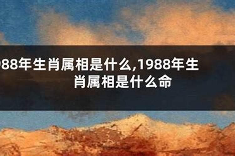 83年属猪人2025年会发财吗