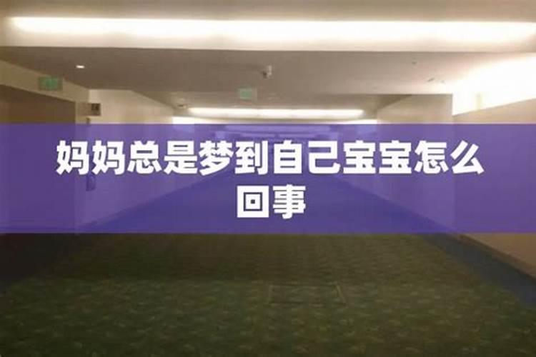 生肖狗1970年2025年运势如何 生肖狗1970年2025年全年运势