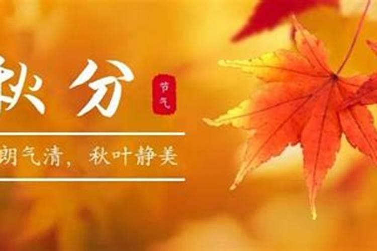 学易经的人会倒霉吗