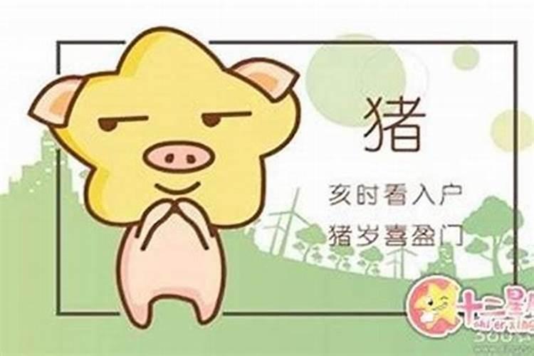 属猪最佳婚配前十名属相