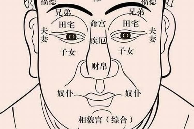 2002年属马人2025年运程