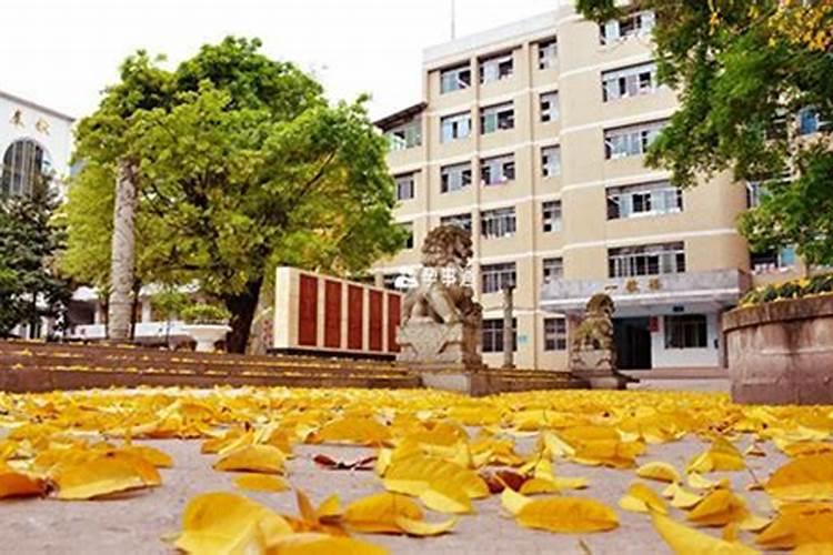 梦到学校是什么意思？