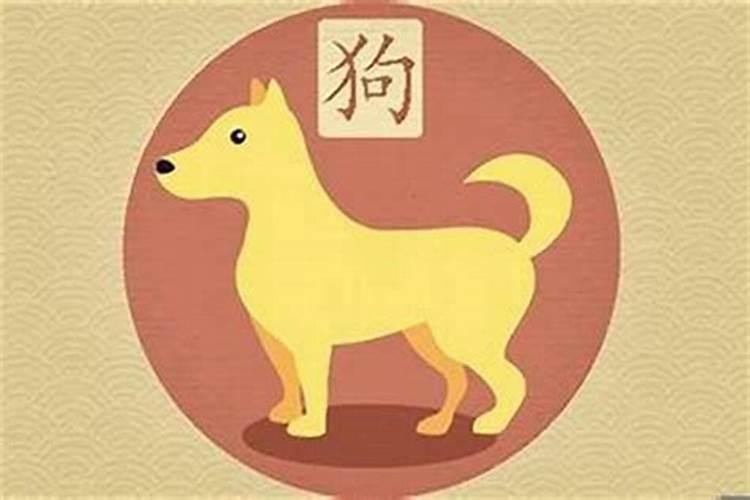 1982年正月生的属狗人一生的运程资料