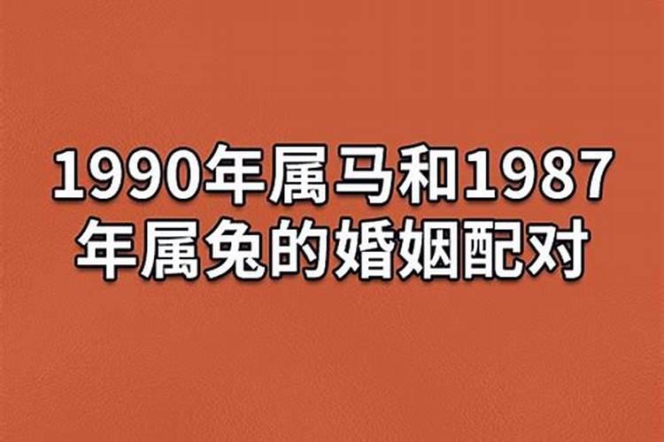 属马和属马的婚姻怎么样两个属马的结婚合适吗