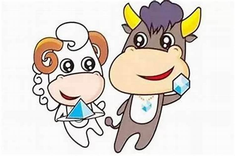 在安徽阜阳做什么好