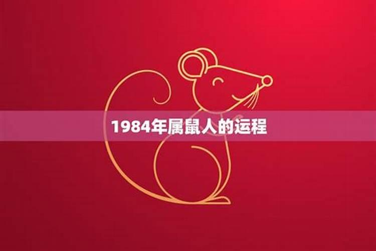 1984年的鼠2024年的运势及运程怎么样