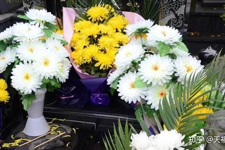 冬至扫墓鲜花用什么花