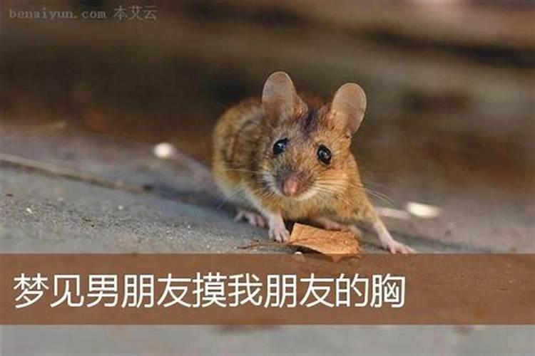 梦见男友的兄弟亲我